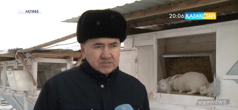 Ақтөбелік Болат Отарбаев – қоян өсіруді қолға алған кәсіпкер