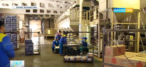 Қазақстанда жасалған азық-түлік өнімдері сыртқы нарықты бағындыра бастады