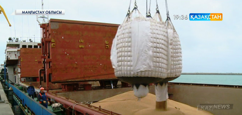 Елімізде бидай экспорты артады