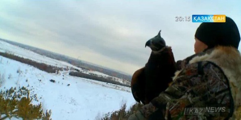 Ақмола облысында бүркітшілердің дәстүрлі чемпионаты өтті