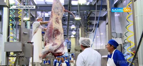 Ақтөбе облысында ашылған ет өңдеу комбинатының өнімдері  Ресейдің 60-тан аса ірі қаласында сатылады