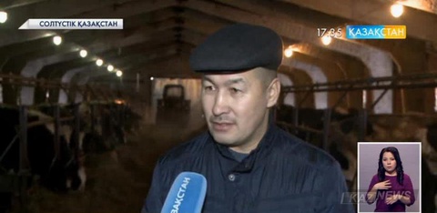 Солтүстікқазақстандықтар «Ырыс»  бағдарламасының  арқасында  2 жылда 850 ірі қара мал сатып алды