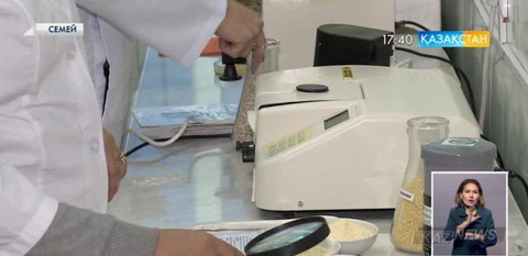 Семейлік ғалымдар дәнді-дақылдарды кешенді өңдеу үшін арнайы зертхана ашты