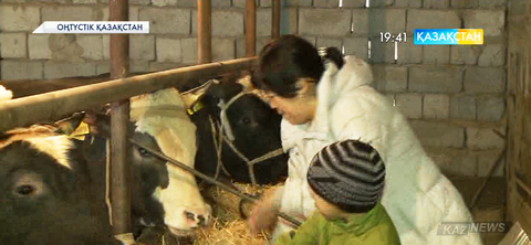 Биылдан бастап еліміздің 5 өңірінде «Ауыл тұрғындарын жұмыспен қамту жобасы» жүзеге асырылады