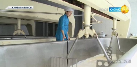 Ұлт жоспары.  Сүт  кластерін құру жұмыстары жүзеге  асырылуда