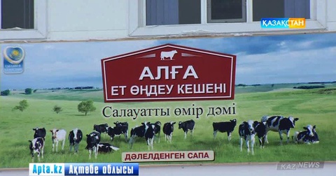 Ақтөбеде Қазақстандағы ең ірі ет комбинаты ашылды