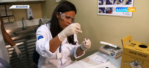 Зика безгегінен төнген қауіп деңгейі жоғары