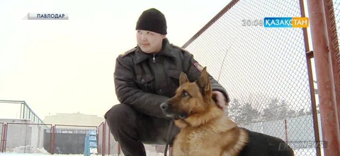 Павлодарда пәтер тонау, қарақшылық шабуыл жасау және ұсақ ұрлық жасау деректері азайып келеді