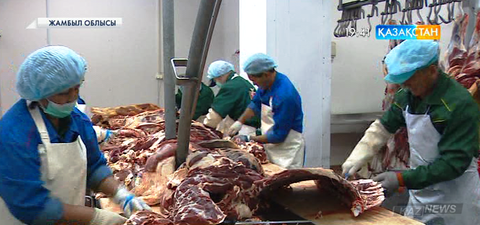 Жамбыл облысында тәулігіне 40 тонна ет өндіретін комбинат ашылады