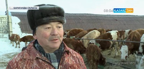 Қарағанды облысының Бесоба ауылында сүт фермасы ашылды