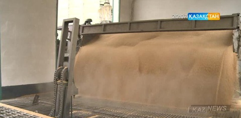 Иран Қазақстаннан астық импорттамауы мүмкін