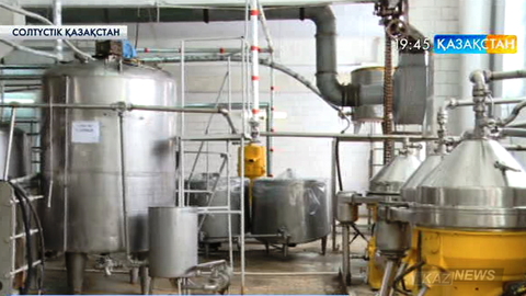 Петропавлда тоқтап тұрған сүт зауыты қайта іске қосылды