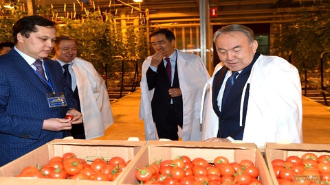 Президент Ақтөбедегі жылыжай кешенінде болды