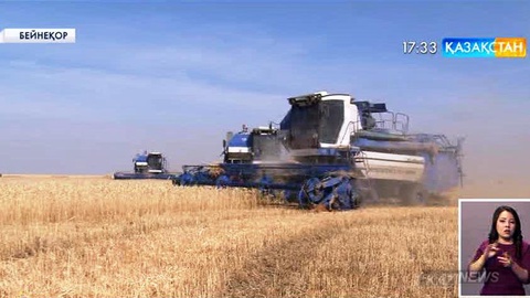 Бидайды қабылдау қоймаларындағы келеңсіздіктерді жою үшін заңға бірқатар өзгерістер енгізіледі