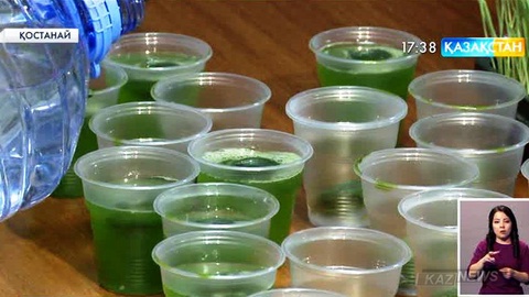 Қостанай тұрғыны бидай өскінінің сығындысынан емдік қасиеті бар шырын жасап шығарды