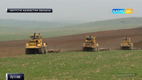 Оңтүстіктің бағбандары бақшаларын баптауға кірісті