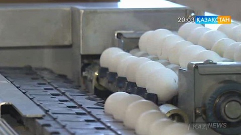 Елімізде жұмыртқа бағасы қолдан қымбаттатылып отыр – Руслан Шәріпов