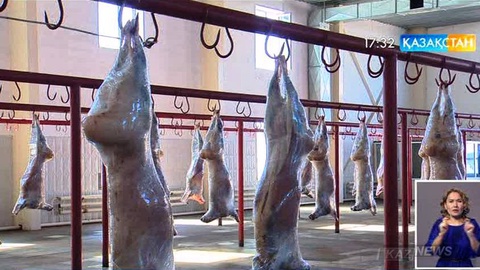 Қазақстанның ет өндірісін дамытуға Қытайдың бір ғана компаниясы 200 млн долларға жуық инвестиция құяды