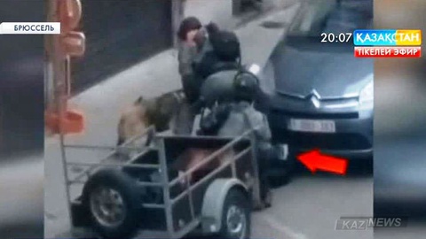 Брюссельдегі антитеррорлық операция