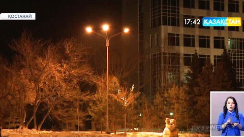 Қостанайда қуат үнемдегіш электр шамдарын құрастыратын кәсіпорынның жұмысы тоқтап тұр