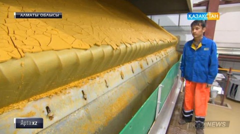 Жаркент крахмал-сірне шығаратын зауыттың қазіргі тынысы