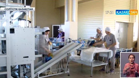 Петропавлдағы  жүгері тағамдарын  шығаратын зауыттың өнімділігі артты