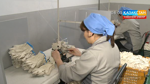 Құрылыс жұмыстарына арналған қолғаптар енді Оңтүстік Қазақстан облысында шығарылады