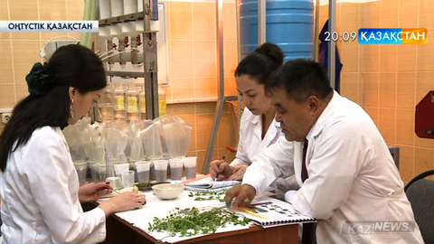 Оңтүстікқазақстандық ғалымдар мал азығы дақылдарының тұқымын  өңдеудің жаңа әдісін ойлап тапты