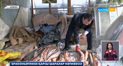 Атырау облысында браконьерлерге қарсы іс-қимыл нәтижесін бермей отыр
