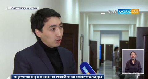 Оңтүстіктің көкөнісі Ресейге экспортталады