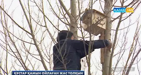 Астанадағы №58 мектеп – гимназиясының оқушылары жыл құстарына ұя жасап,  қамқорлық көрсетуде
