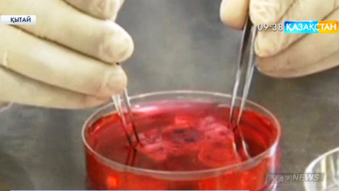 Қытай ғалымдары ғарышта тышқанның эмбриондарын өсірді