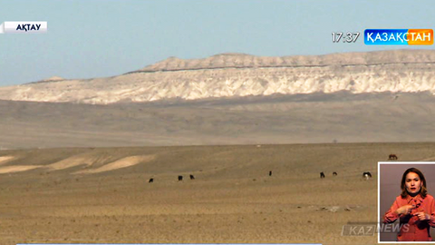 Маңғыстауда игерусіз жатқан 700 мың гектар ауыл шаруашылық жерлерінің 360 мыңы кері қайтарылды