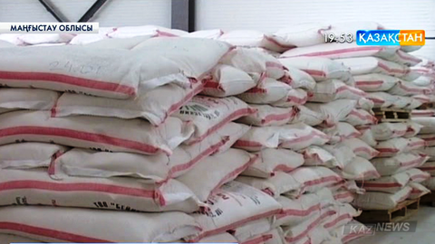 Бейнеуден шығатын ұн Өзбекстан еліне экспорттала бастады