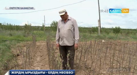 ОҚО-ның тұрғыны Б.Жүнісов жайылым болған тастақ жерді өнімі үзілімейтін жылыжайға айналдырды