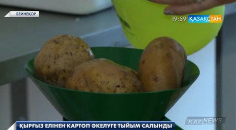 Қырғыз елінен келетін картопқа тыйым салынды