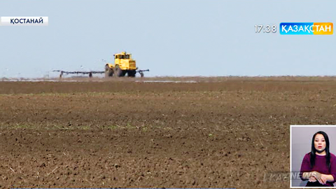 Қостанай облысында ауыл шаруашылығы бағытындағы 5 млн 992 мың гектар жер игерілмей жатыр