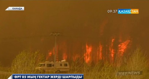 Канаданың Альберта провинциясындағы орман өрті 85 мың гектар жерді шарпыды