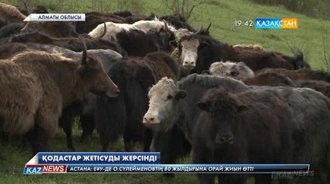 Қодастар Жетісуды жерсінді