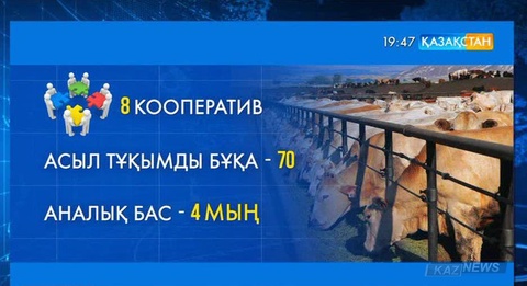 Ауыл шаруашылығы кооперативтері құрылуда