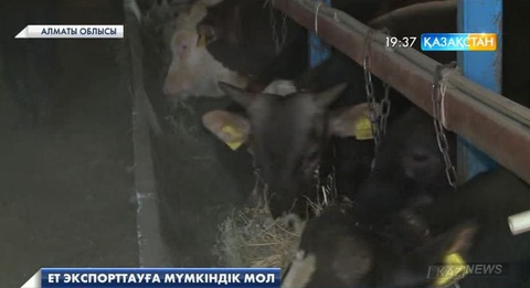 Қазақстанның ет экспорттауға мүмкіндігі мол