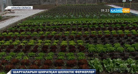 Алматы облысындағы Шелек ауданының шаруалары аулаларын баптап, табысқа кенелуде