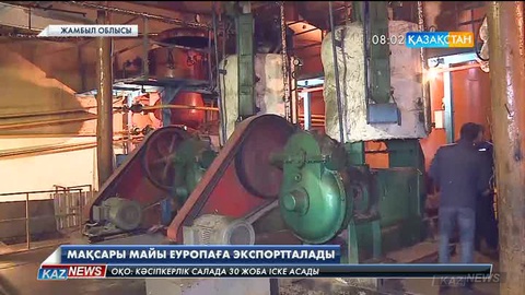 Жамбыл облысындағы мақсары майын шығаратын зауыт өнімдерін Еуропаға экспорттай бастады