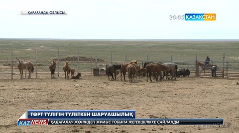 Қарағанды облысында ашылған «Айыртау-Агро» шаруашылығы төрт түлікті түлетіп отыр