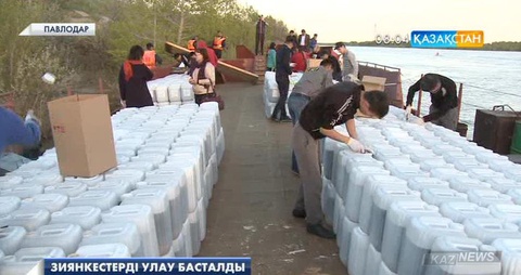 Павлодарда  зиянкестерді улау басталды