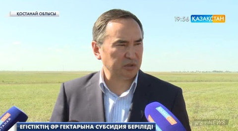 Диқандарға егістіктің әр гектарына берілетін субсидия биыл да сол күйі сақталады