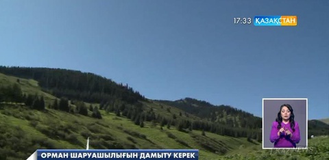 2030 жылға қарай Қазақстандағы орманды алқаптың үлесі 5 пайызға жетеді - Ерлан Нысанбаев