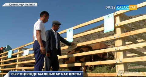 Сыр өңірінің шопандары малшылар слетінде бас қосты
