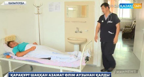 Қызылордада қарақұрт шаққан 23 жастағы жігіт өлім аузынан қалды