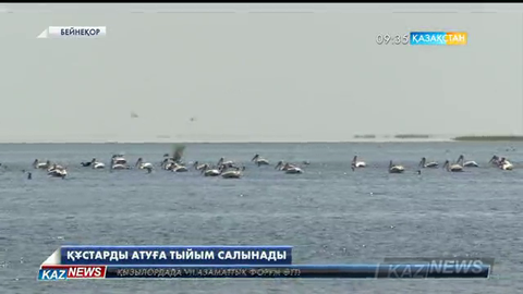 Келер жылдан бастап көктем мезгілінде құстарды атуға тыйым салынбақ